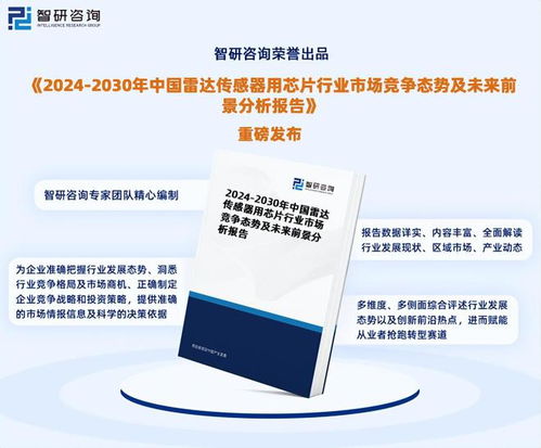 2024年中國雷達傳感器用芯片行業市場全景調查及投資前景研究報告